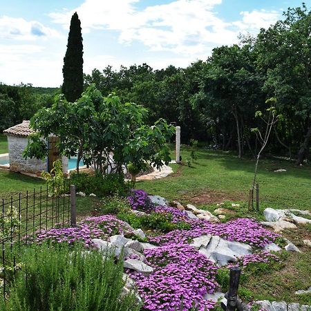 Cottage Al Merlo Olivo Buje Kültér fotó