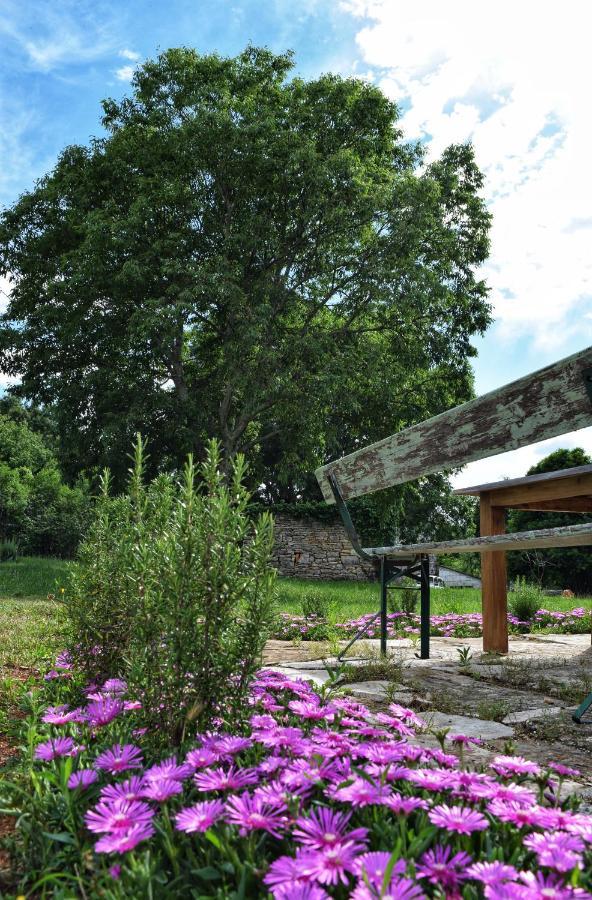 Cottage Al Merlo Olivo Buje Kültér fotó