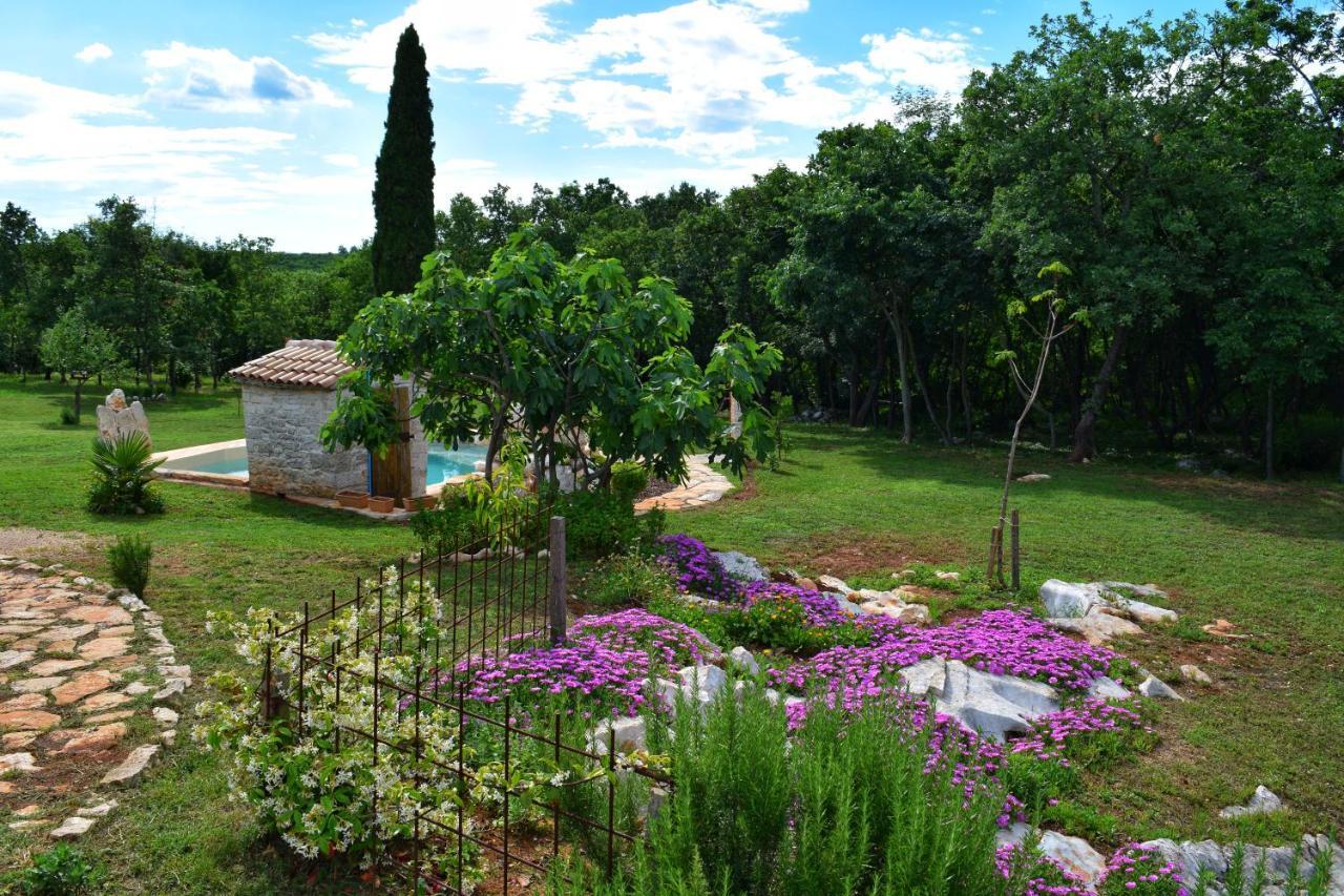 Cottage Al Merlo Olivo Buje Kültér fotó