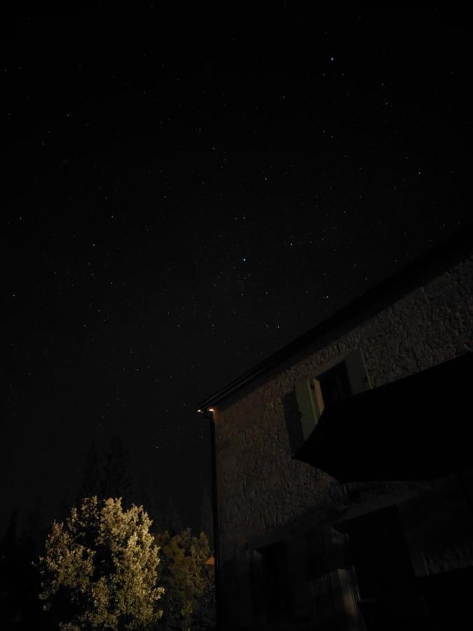Cottage Al Merlo Olivo Buje Kültér fotó