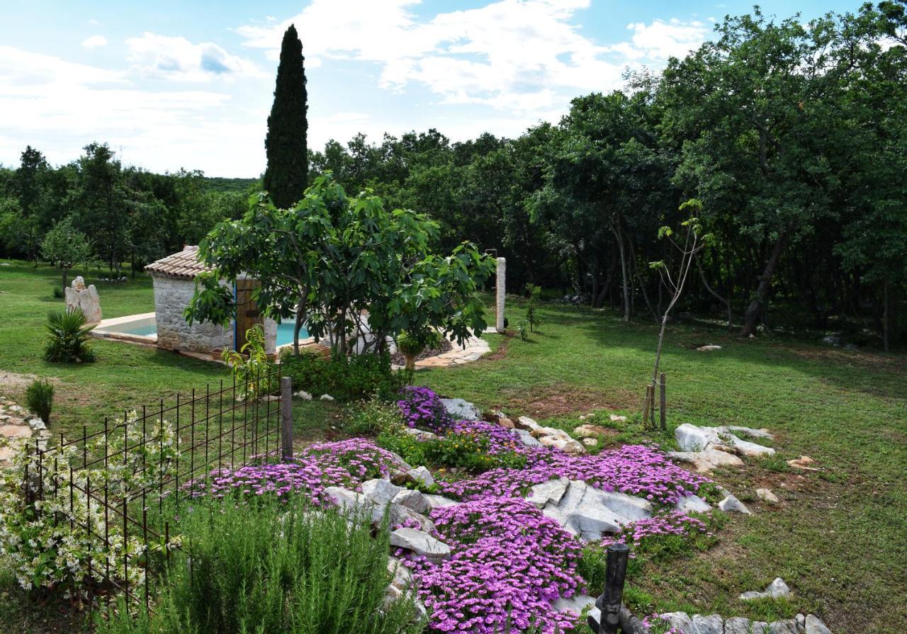 Cottage Al Merlo Olivo Buje Kültér fotó