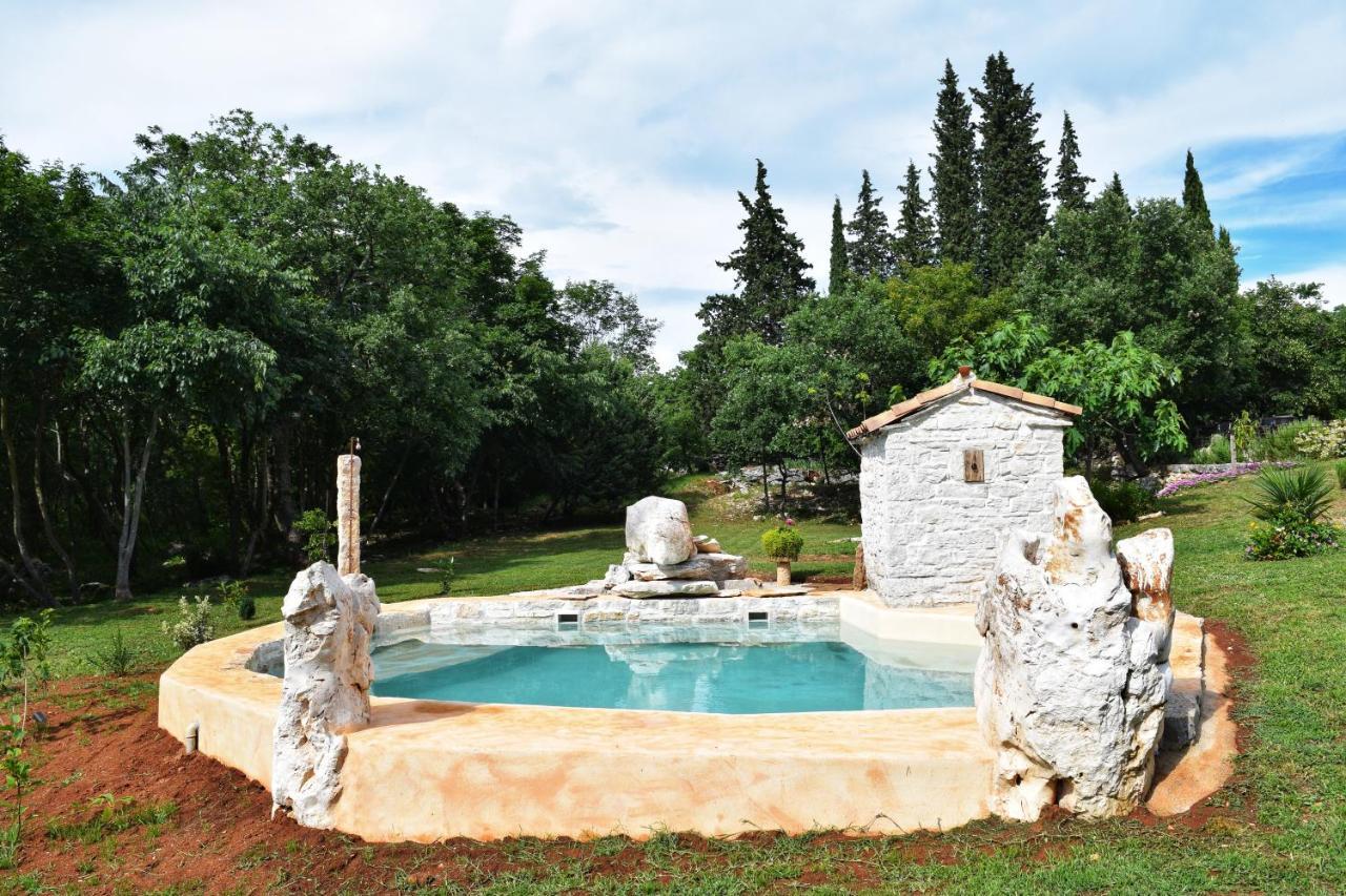 Cottage Al Merlo Olivo Buje Kültér fotó
