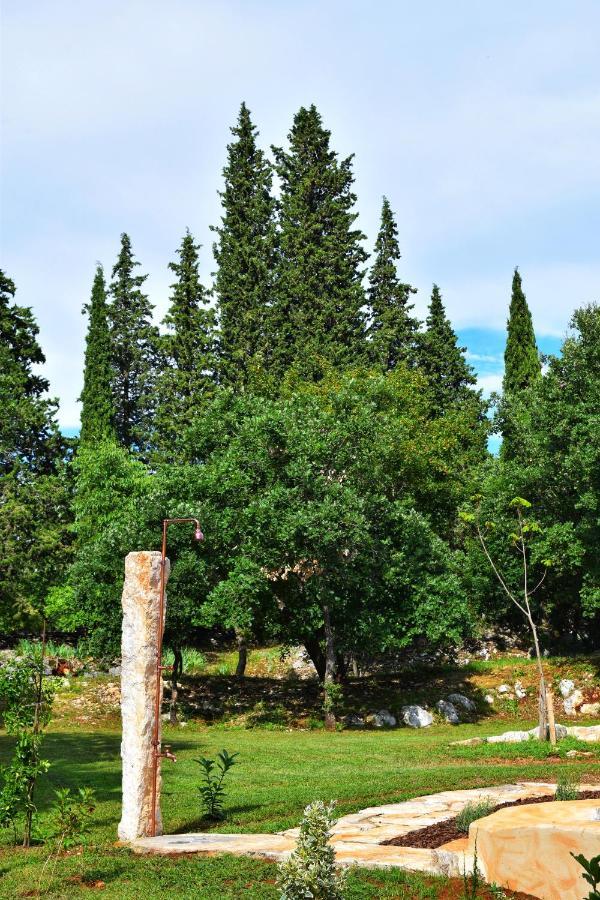 Cottage Al Merlo Olivo Buje Kültér fotó